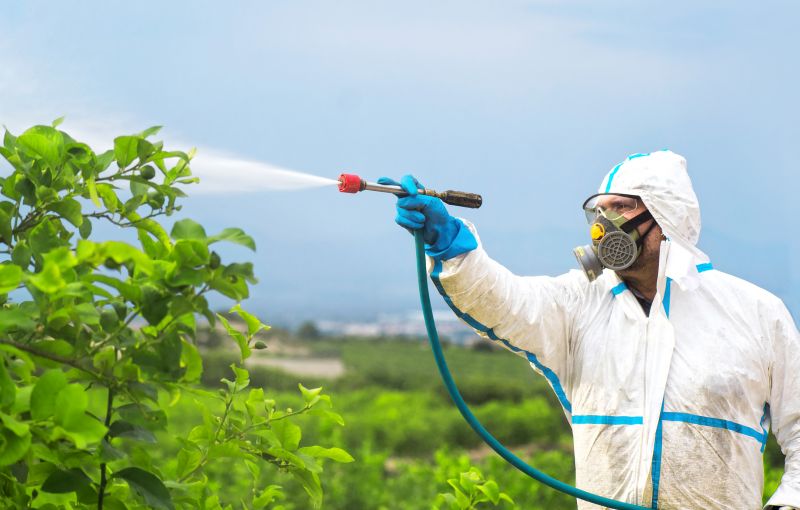 Roach Fumigation in Marietta, GA