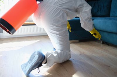 Spider Fumigation Service in Fort Collins, CO
