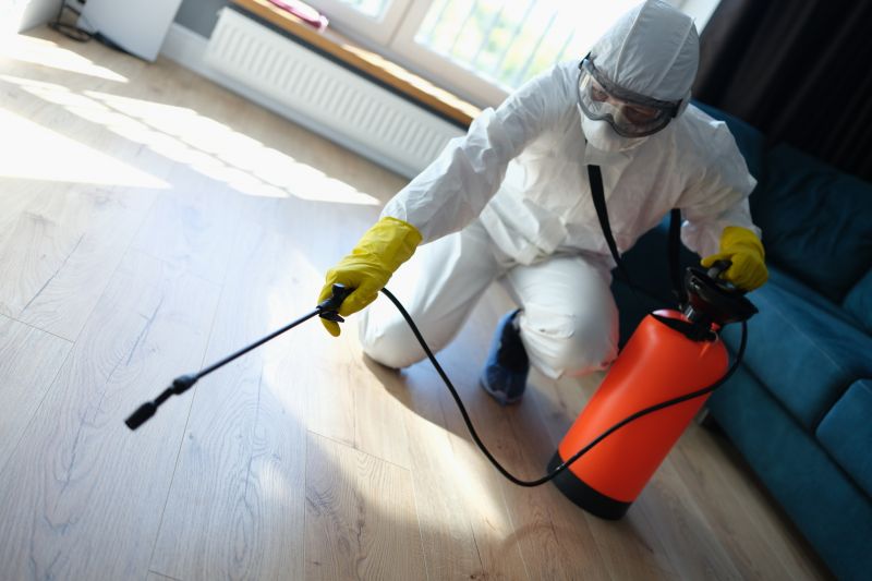 Beetle Removal in Katy, TX