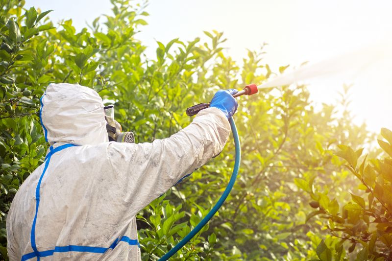 Commercial Fumigation in Marietta, GA