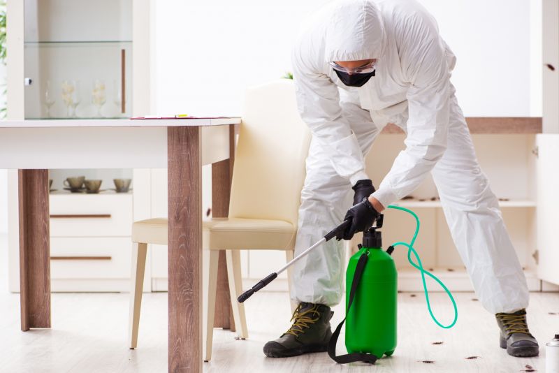 Spider Mite Extermination in Frisco, TX